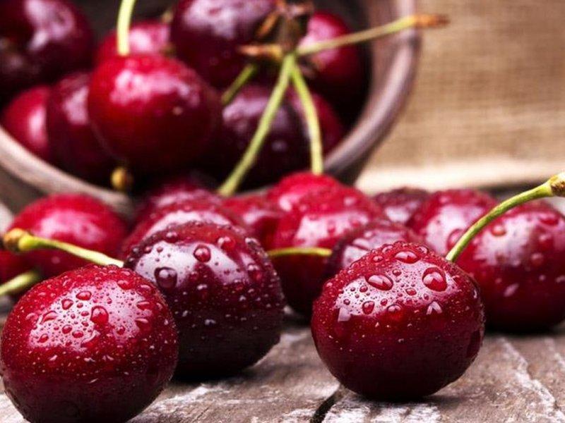 Вишня купить саженцы из питомника в Альметьевске